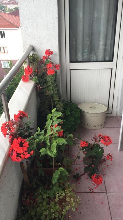 Single Room, Одноместная Комната В Доме, Chambre D'Une Personne, Habitacion Individual Istanbul Luaran gambar