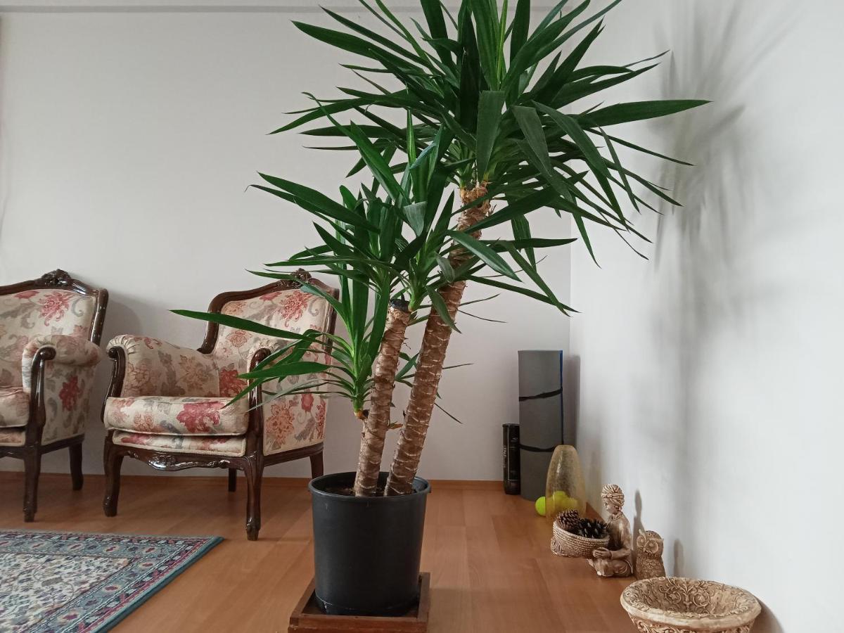 Single Room, Одноместная Комната В Доме, Chambre D'Une Personne, Habitacion Individual Istanbul Luaran gambar