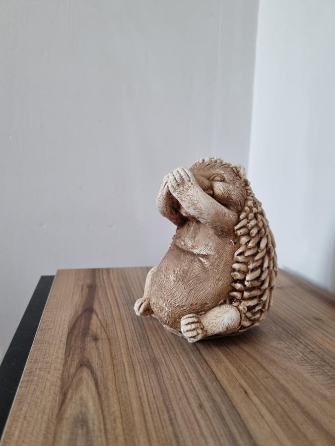 Single Room, Одноместная Комната В Доме, Chambre D'Une Personne, Habitacion Individual Istanbul Luaran gambar